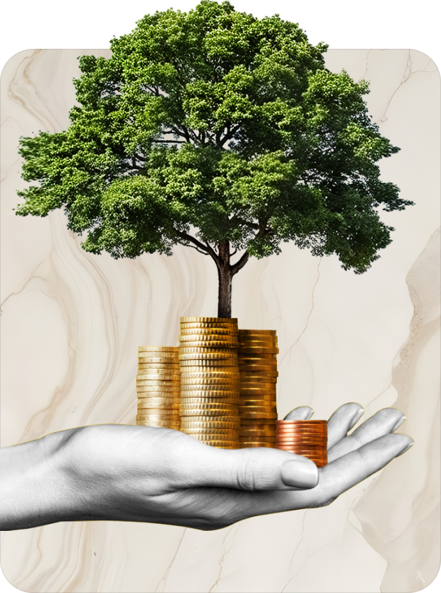 image_02 https://plugin.digitalpromotions.ro/wp-content/uploads/2024/09/image_02.png