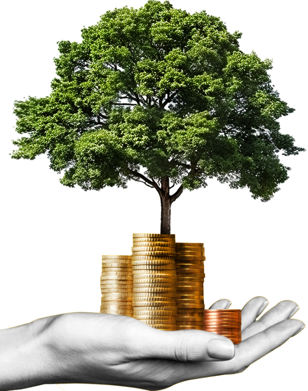 image_group_02 https://plugin.digitalpromotions.ro/wp-content/uploads/2024/09/image_group_02.png